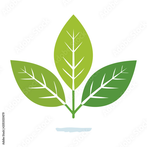 Flat design icon of three green leaves on white background