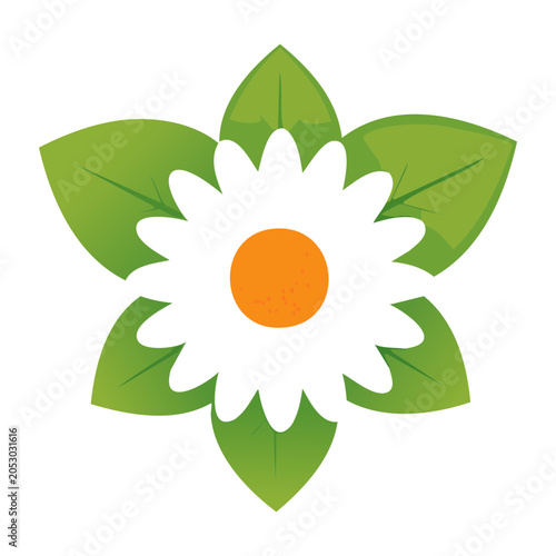Stylized white daisy flower with green leaves on white background