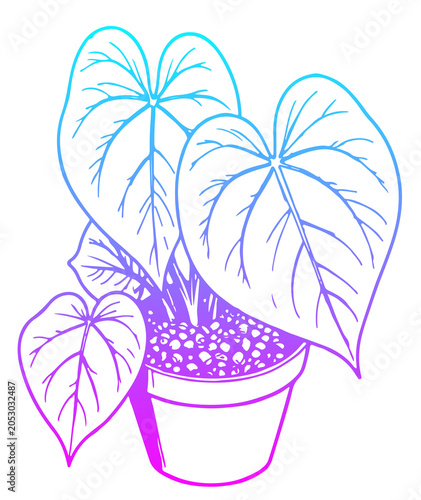vector illustration of a flower
