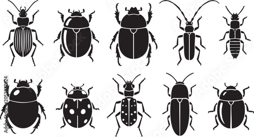 Bild auf Leinwand Vector illustration of various black beetle silhouettes in different shapes and