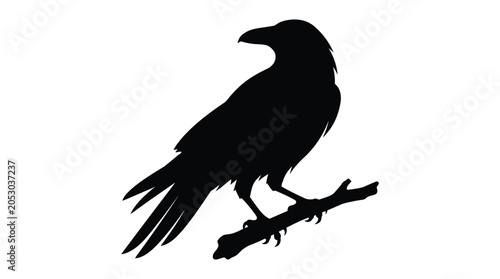 Foto Raven Silhouette On Branch Black And White Graphic