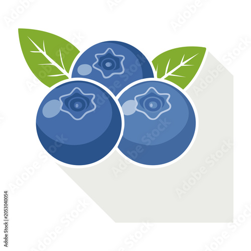 Flat design illustration of fresh blueberries with leaves