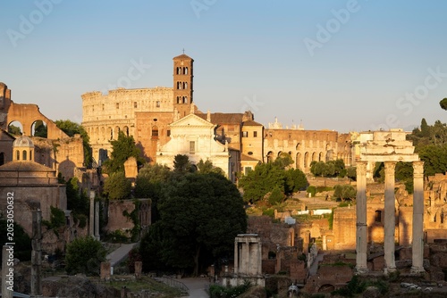 Canvas Print Forun Rome