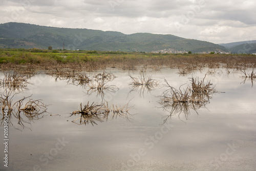 Serene Mountain Wetland Landscape Beneath Dramatic Clouds Reflecting Tranquil Nature