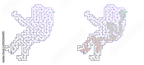 Stylized labyrinth design with entry and exit paths 

