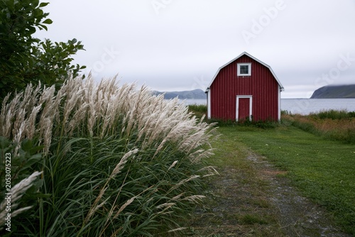 Rustic red barn sits by the ocean, tall grass in foreground