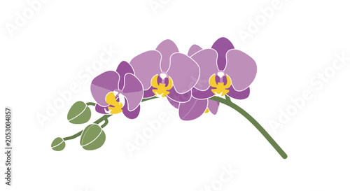 Tableau sur toile Purple Orchid Flowers on Green Stem.