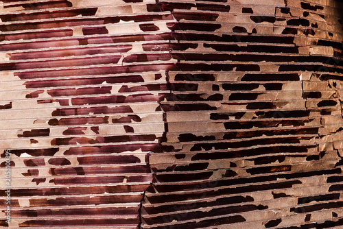 Tableau sur toile An abstract look of a broken hollow plastic panel displaying heavy weather degra