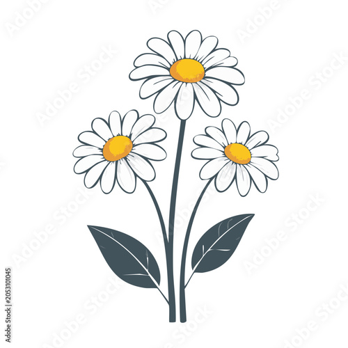 Three white daisy flowers with yellow centers and green leaves