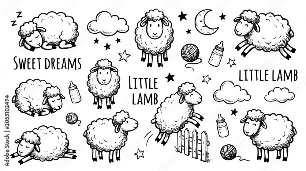 Fototapeta premium Cute hand drawn sheep collection, baby nursery art, vector illustration