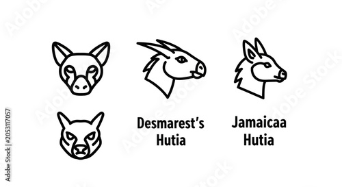 Photography Line art icons of Hutia rodents and wild cats.