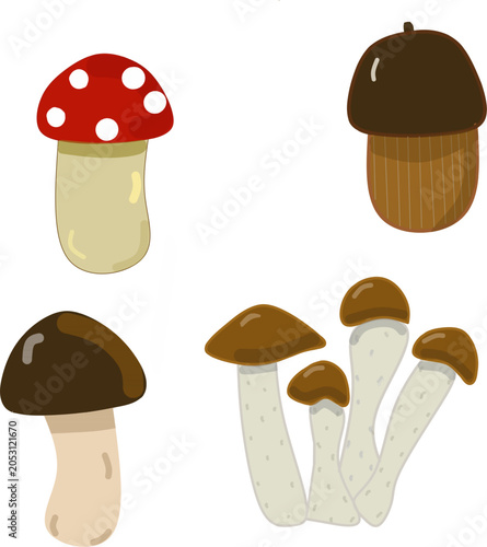 set of mushrooms