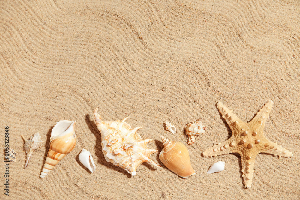 Naklejka premium Many sea shells on sand