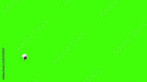 4k White albino house mouse with red eyes run Enter on the left side and exit on the right side animation isolated on Green Screen, 3D mus musculus rodent mice fast running rendering on the chroma key