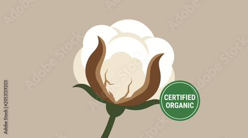 Foto Certified Organic Cotton Boll Close-up Macro Photography