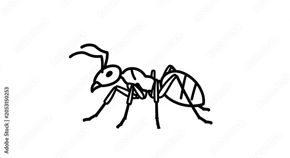 Fototapeta premium Simple Black and White Ant Line Art Illustration. Minimalist Insect Drawing, Isolated Bug Graphic on White Background