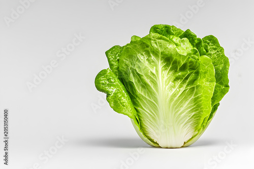 Fresh Romaine Lettuce on White Background
