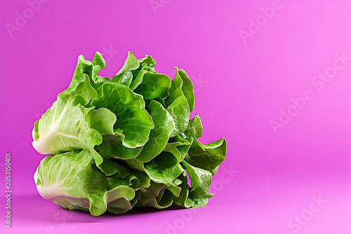 Green Cos Lettuce Isolated