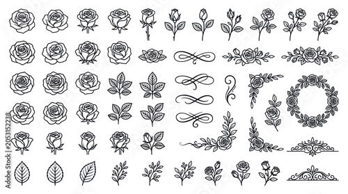 Hand-Drawn Rose Elements and Floral Ornaments - Vector Set