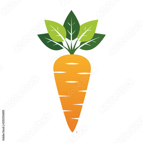 Orange carrot with green leaves illustration