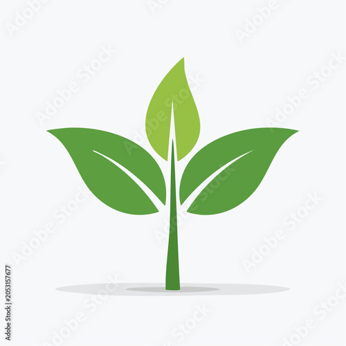 Green sprout with three leaves
