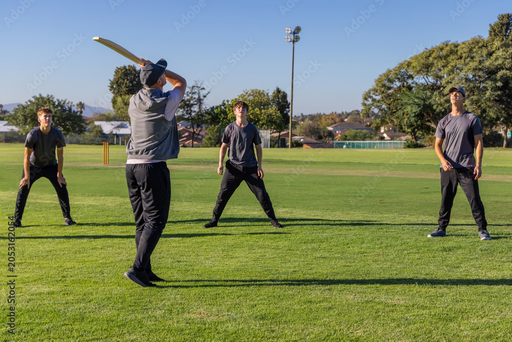 Obraz premium Diverse male teammates in sportswear batting with bat and fielding on cricket field, copy space