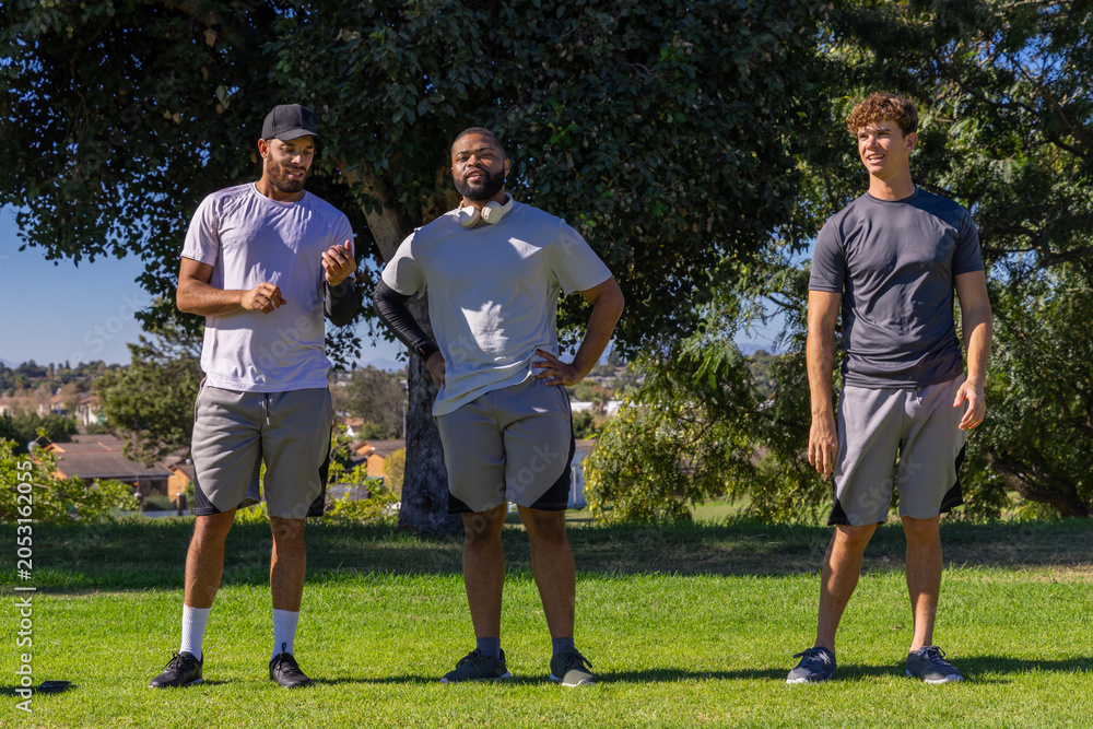 Obraz premium Diverse male friends standing on grassy field under shade tree, gesturing and wearing headphones
