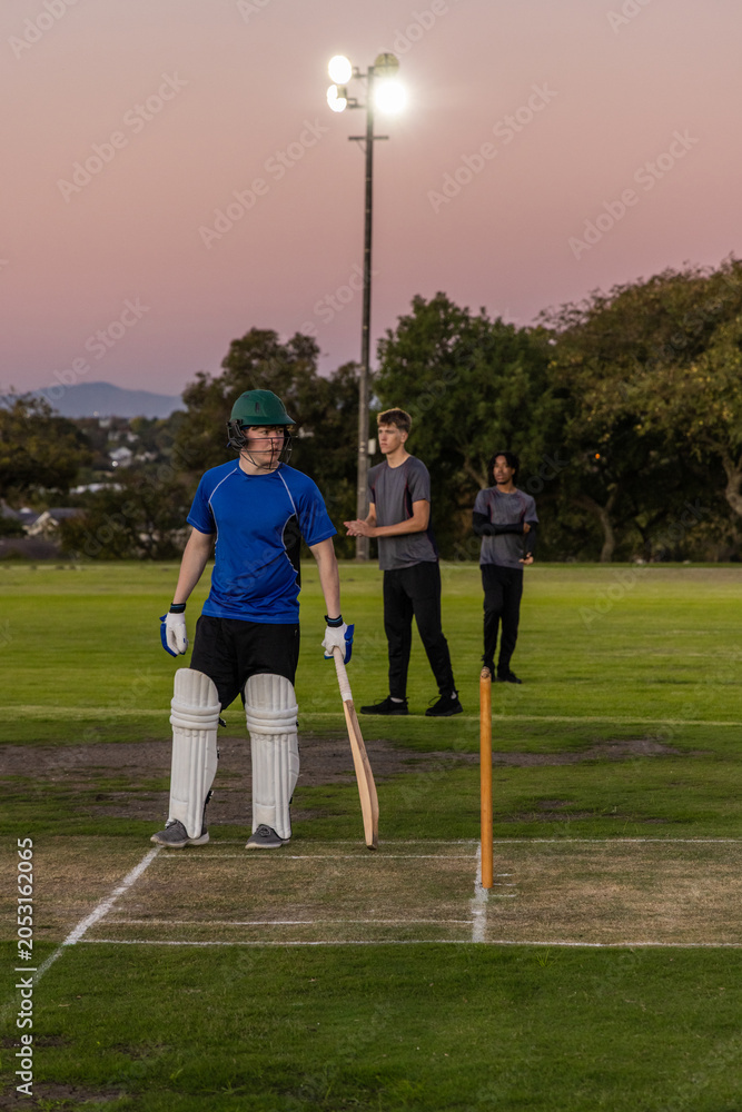 Obraz premium Diverse male teammates standing on cricket pitch at dusk, batter holding wooden bat near stumps
