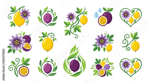 Bild auf Leinwand Collection of stylized passion fruit and passion flower illustrations with leaves and water drops