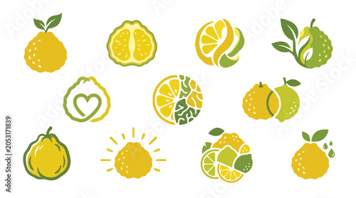 Bild auf Leinwand Collection of stylized citrus fruits, including lemons, limes, and bergamots, presented in various artistic designs and icons