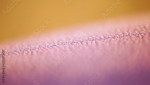 Tableau sur toile shot of a water droplets on a pink background.