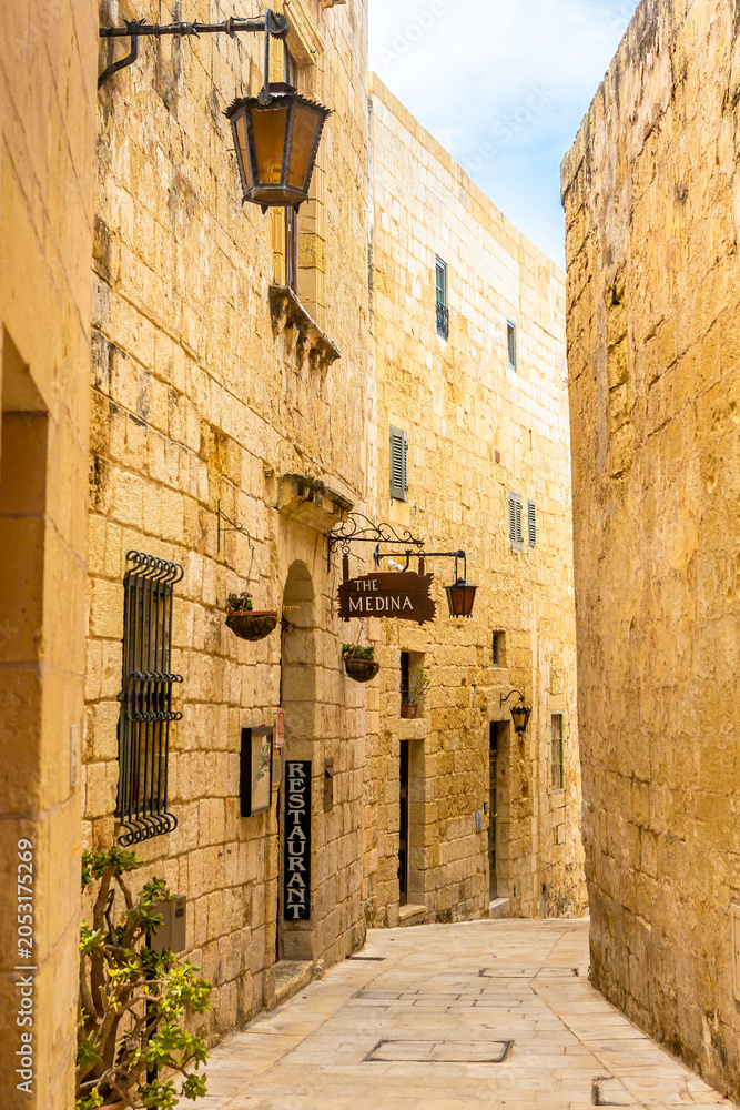 Obraz premium Malta, old castle Mdina cathedral city.