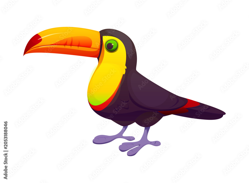Obraz premium Cartoon toucan bird character standing with a large bright beak and smooth tropical plumage. Vector exotic jungle animal with colorful plumage, vivid rainforest wildlife tropical and natural creature
