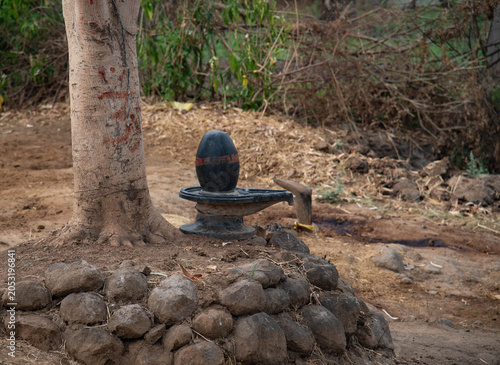shiv linga under tree