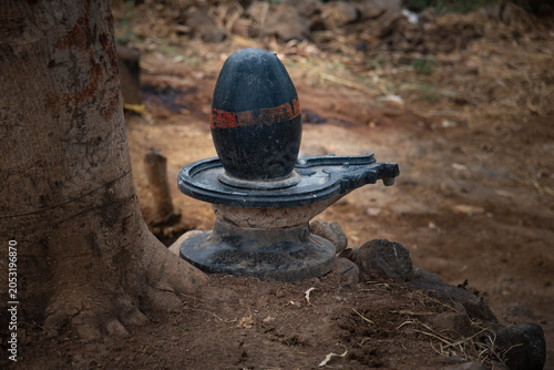 shiv linga under tree