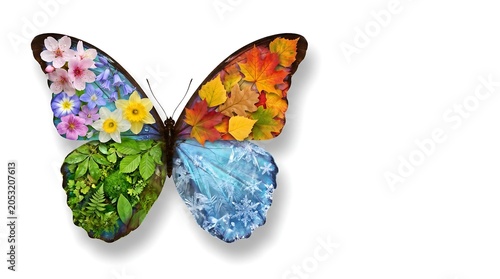 Butterfly Composed Of Seasonal Elements A Composite Photo On White Background autumn