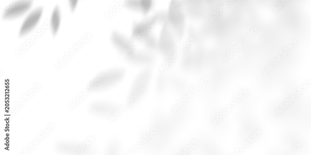 Obraz premium Soft natural leaf shadow overlay