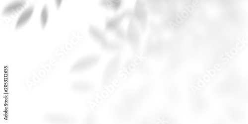 Soft natural leaf shadow overlay