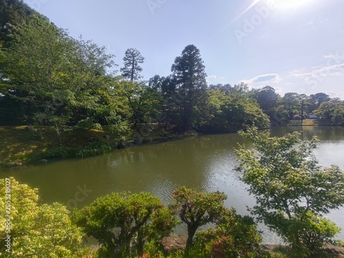 緑に囲まれた静かな日本庭園の池
