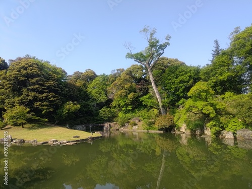 緑に囲まれた静かな日本庭園の池