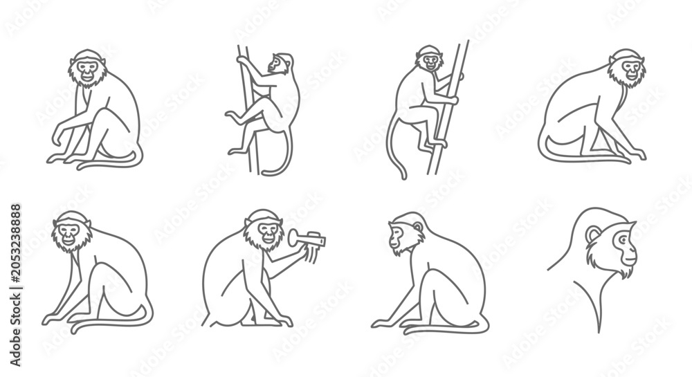 Obraz premium Outlined monkeys in different poses vector illustration collection