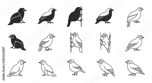Set of black and white bird illustrations perfect for design resources