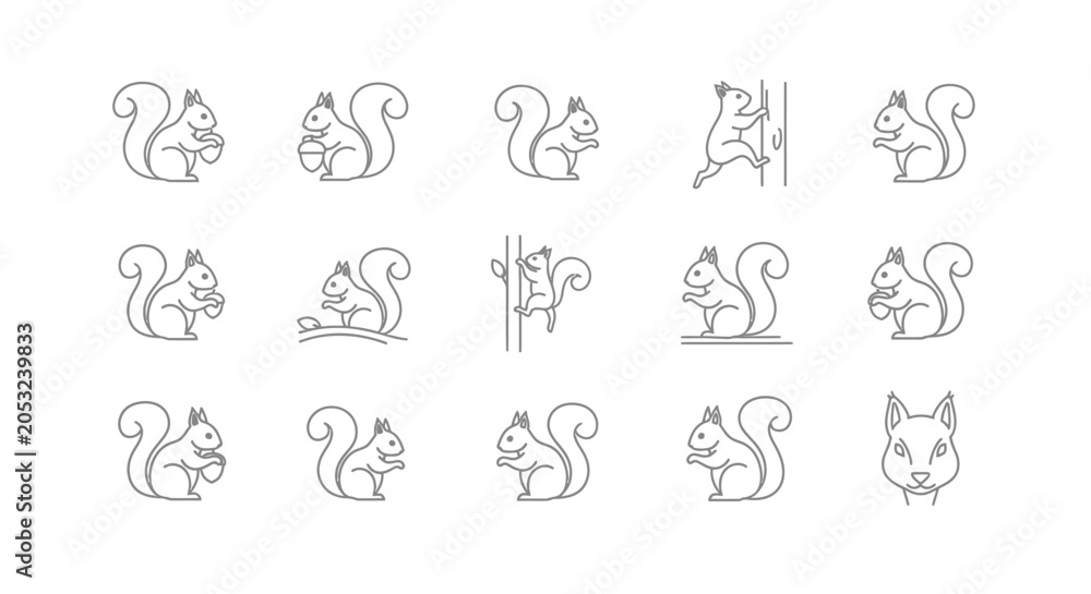 Fototapeta premium Outlined squirrel icons set playful poses and activities on white background