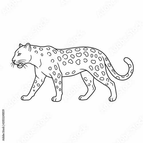 Walking leopard with spots, detailed line art for kids coloring page