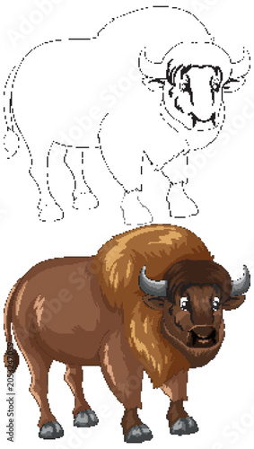 American Bison Vector Illustration in Colored and Line Art Styles