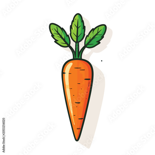 Illustration of a single fresh orange carrot with green leaves.
