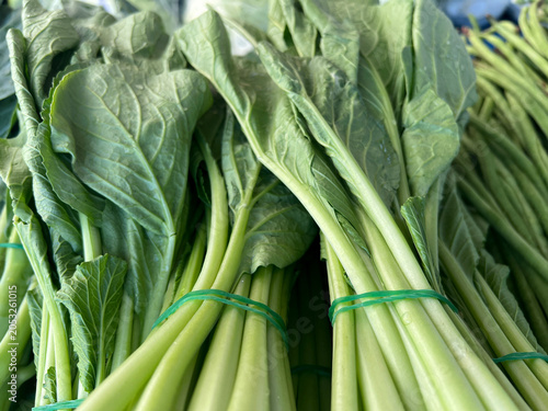 fresh green kale in market