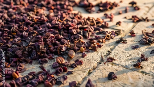 Dried grape pomace fragments scattered on sunlit stone slabs. menu design, packaging mockups, designed for culinary blogs and recipe cards for restaurants, used by videographers.