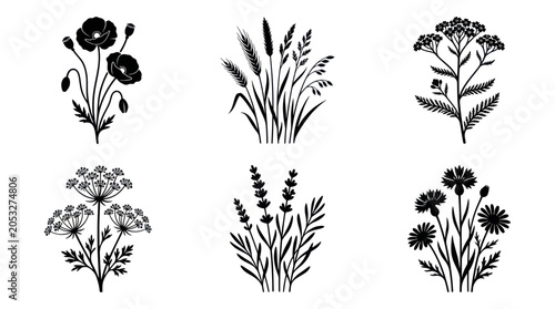 Wildflower Silhouette Collection: Poppies, Wheat, Yarrow, Dill, Lavender, Cornflower