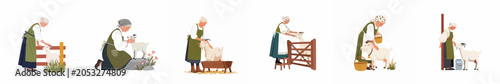 Photography Collection of flat illustrations showing an elderly woman caring for goats, feeding, and milking them in a rural farm setting